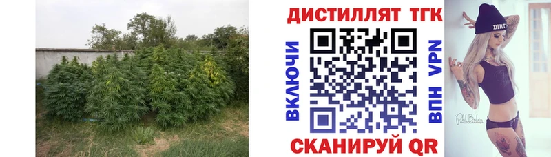 ссылка на мегу вход Симферополь Дистиллят ТГК жижа